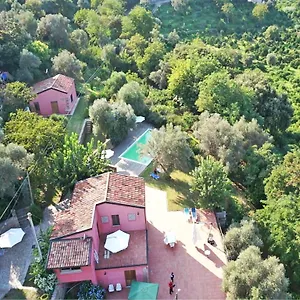 Agricontura , Capri Leone Italie
